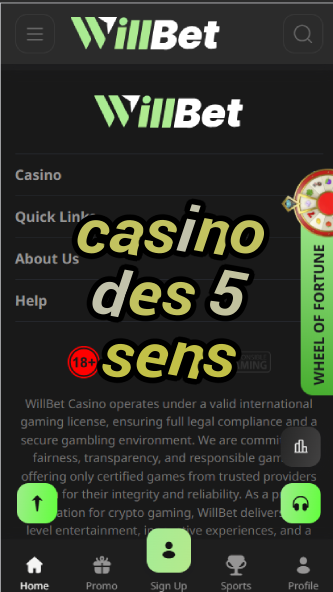 Casino des 5 Sens - Sensory Casino Experience-casino25demayo.casinoorder.vip